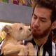 Illustration for article titled Your Obligatory, Adorable Puppy Bowl VII Highlights